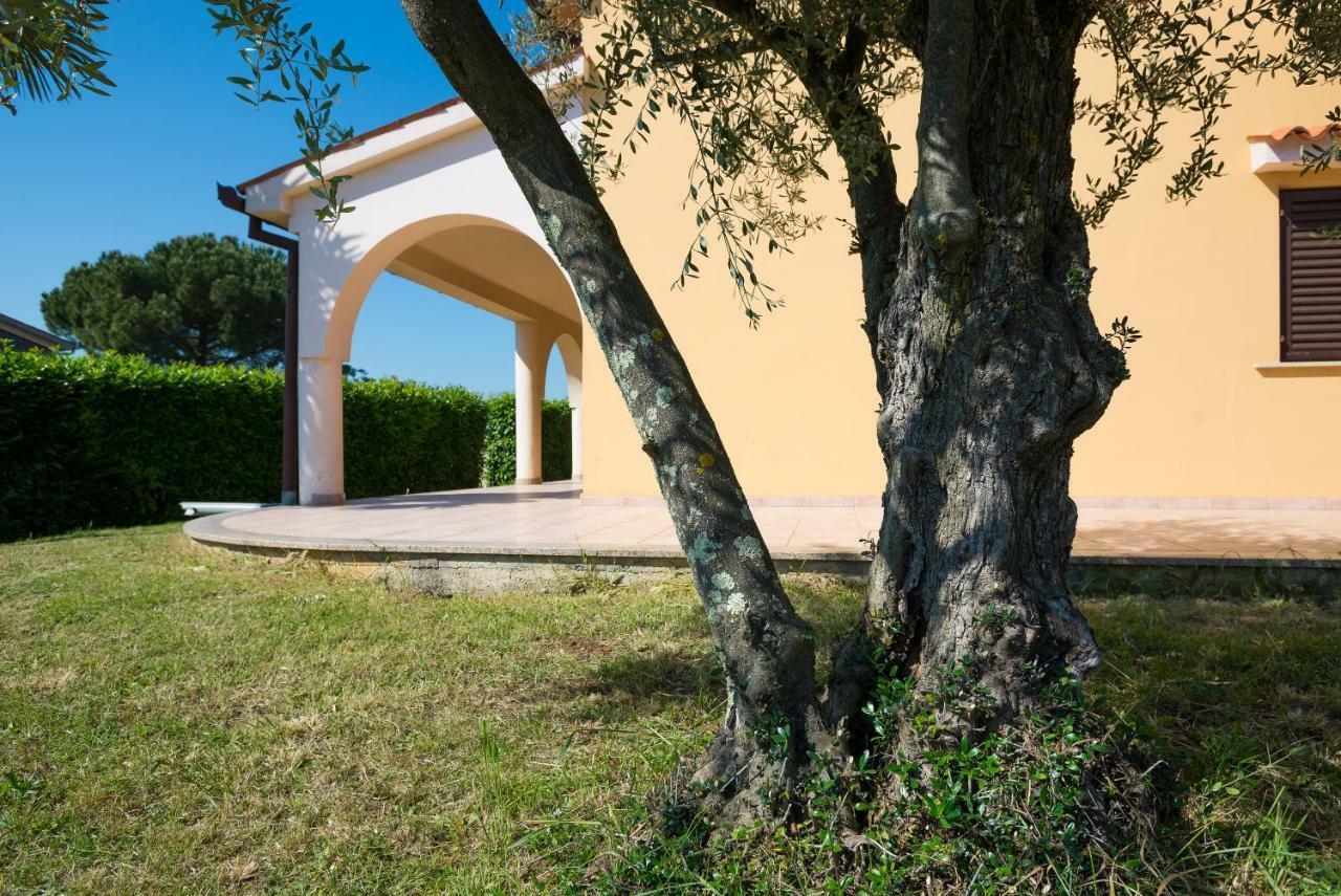 Apartmán Irena
